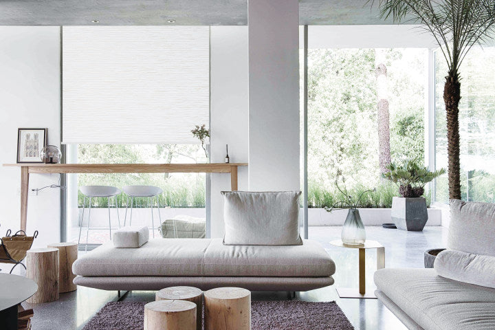 Motorized Shades