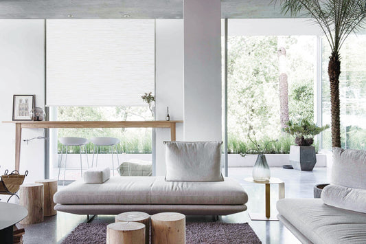 Motorized Shades