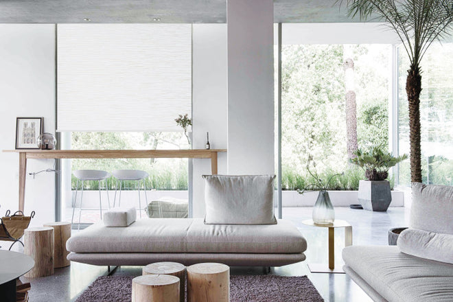 Motorized Shades