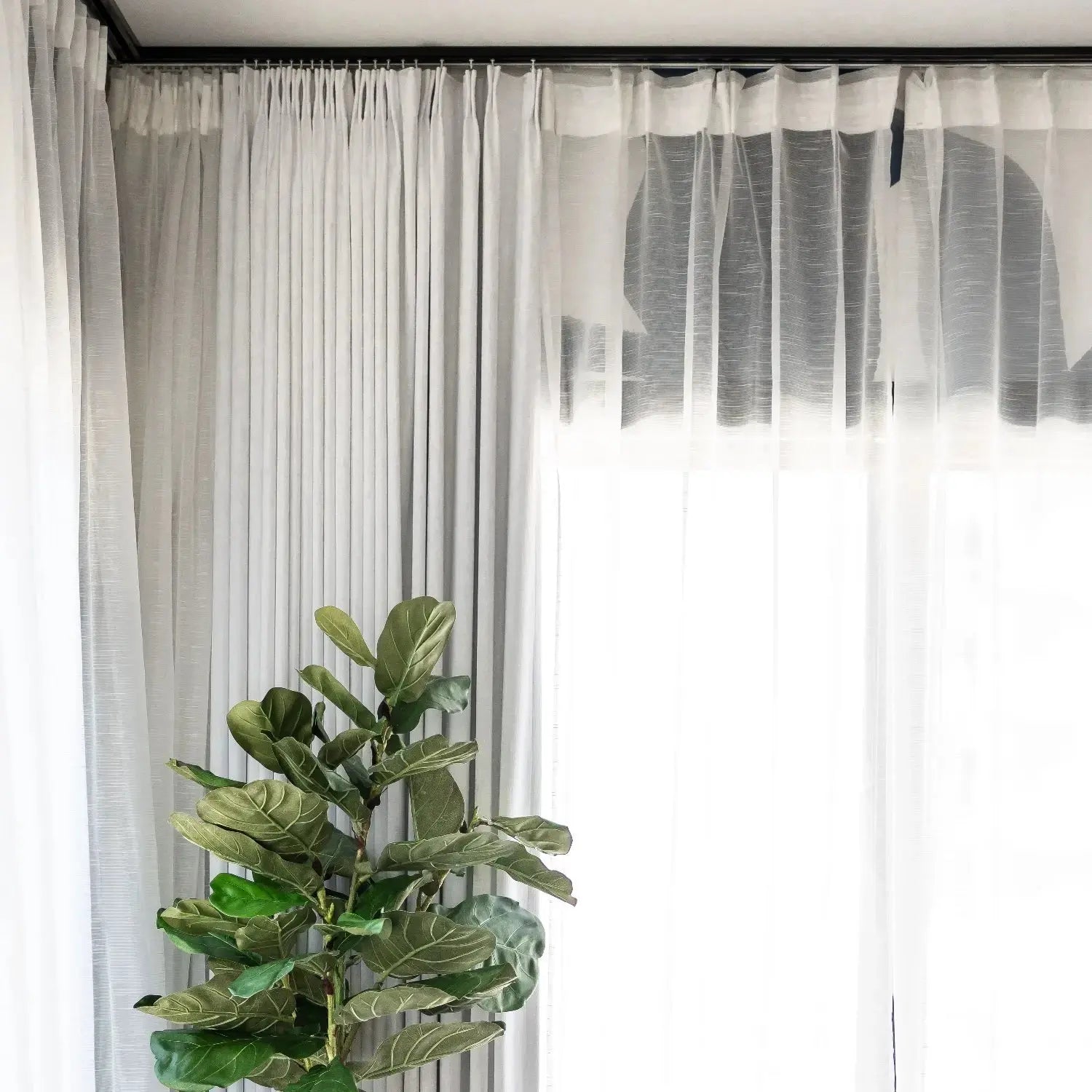 Scandina Solid Voile Sheer Curtain Pleated